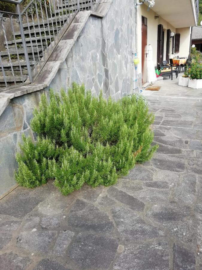 Villa Banfi Lavena Ponte Tresa Exteriör bild