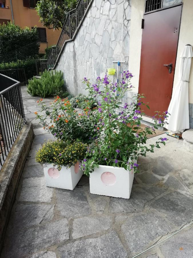Villa Banfi Lavena Ponte Tresa Exteriör bild