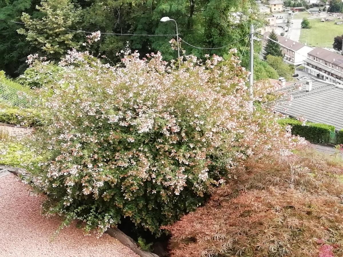 Villa Banfi Lavena Ponte Tresa Exteriör bild